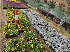 -苏州太湖国际会议中心