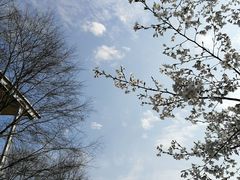 -杭州城北体育公园