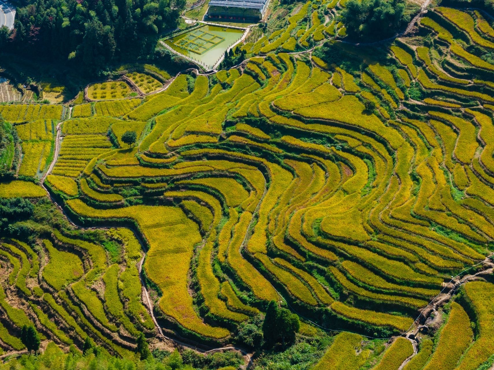 云和梯田最佳观景点图片