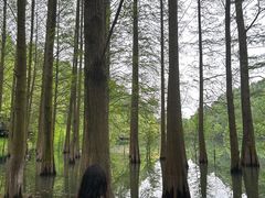 -天花井景区