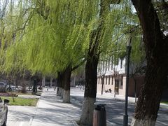 -曲阜师范大学(曲阜校区)