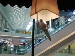 -高第街56号餐厅(凯德mall新都心店)