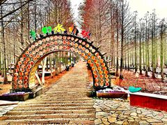 -泗洪洪泽湖湿地景区