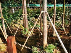 -重庆彩云湖湿地公园