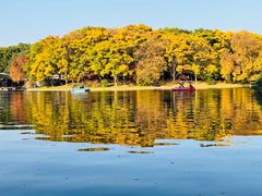 -上海共青森林公园