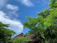 -海南槟榔谷黎苗文化旅游区