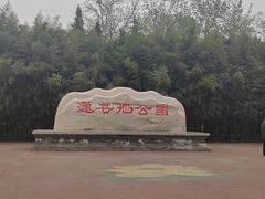 -小马哥融合菜(延安大街店)
