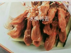 -东鸽皇(奥园·中环广场店)