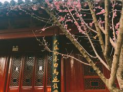-洛阳白马寺