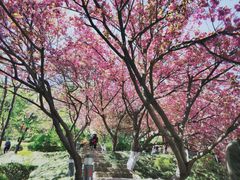 -北岭山森林公园
