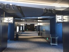 -奥斯卡升龙国际影城(RealD Cinema)