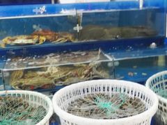 -北京清河镇农副产品交易市场中心