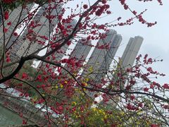 -成都市活水公园