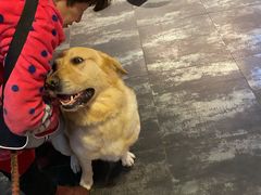 -美联众合动物医院(唯恩分院)