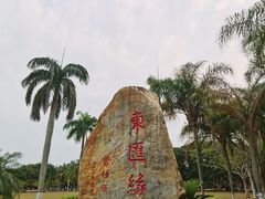 -万绿园