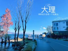 -大理洱海