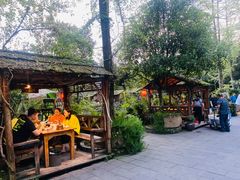 -青城甲(青城山店)