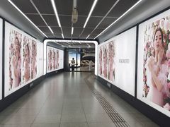 -大望路(地铁站)
