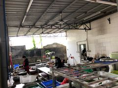 -章记正宗南岗鱼蛋火锅