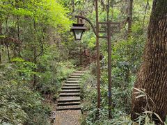 -杭州半山国家森林公园