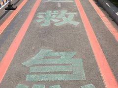 -辽宁省人民医院