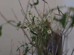 -Ten Olives甜点