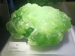 -湖南省地质博物馆