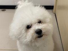 -艾贝尔宠物医院 ·中兽医·宠保定点(北门桥店)