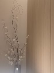 -恒美雅轩·品牌直营连锁