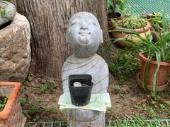-大觉寺-停车场