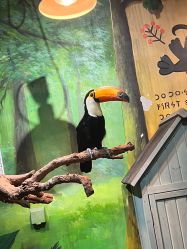 -Zoolung Zoolung动物主题公园(海信广场店)