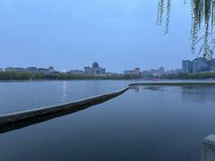 -莲花池公园