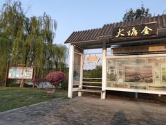 -大塘金香草谷