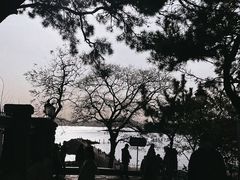 -青岛海尔洲际酒店