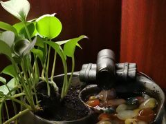 -聆耳·采耳·按摩·SPA(会展中心店)