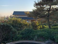 -郑州银基黄帝宫御温泉