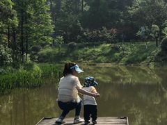 -铁山坪森林公园