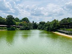 -河川生态园