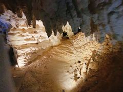 -怀托摩萤火虫洞