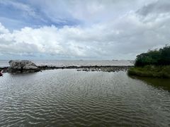 -上海吴淞炮台湾国家湿地公园