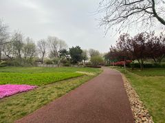 -石家庄市植物园