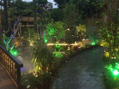 -花溪雨·森林餐厅(石基店)