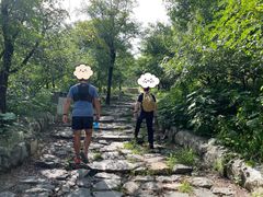 -阳台山自然风景区