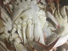 -韩家墅海吉星农产品批发市场