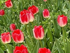 -长春公园(普阳街道)