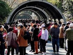 -人民公园-相亲角