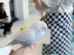 -怪兽屋·羊驼·猫咖·狗咖(俊华广场店)