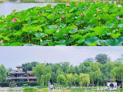 -陶然亭公园