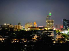 -佛山岭南天地康得思酒店