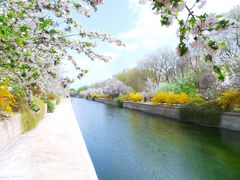-海棠花溪(元大都城垣遗址公园)
